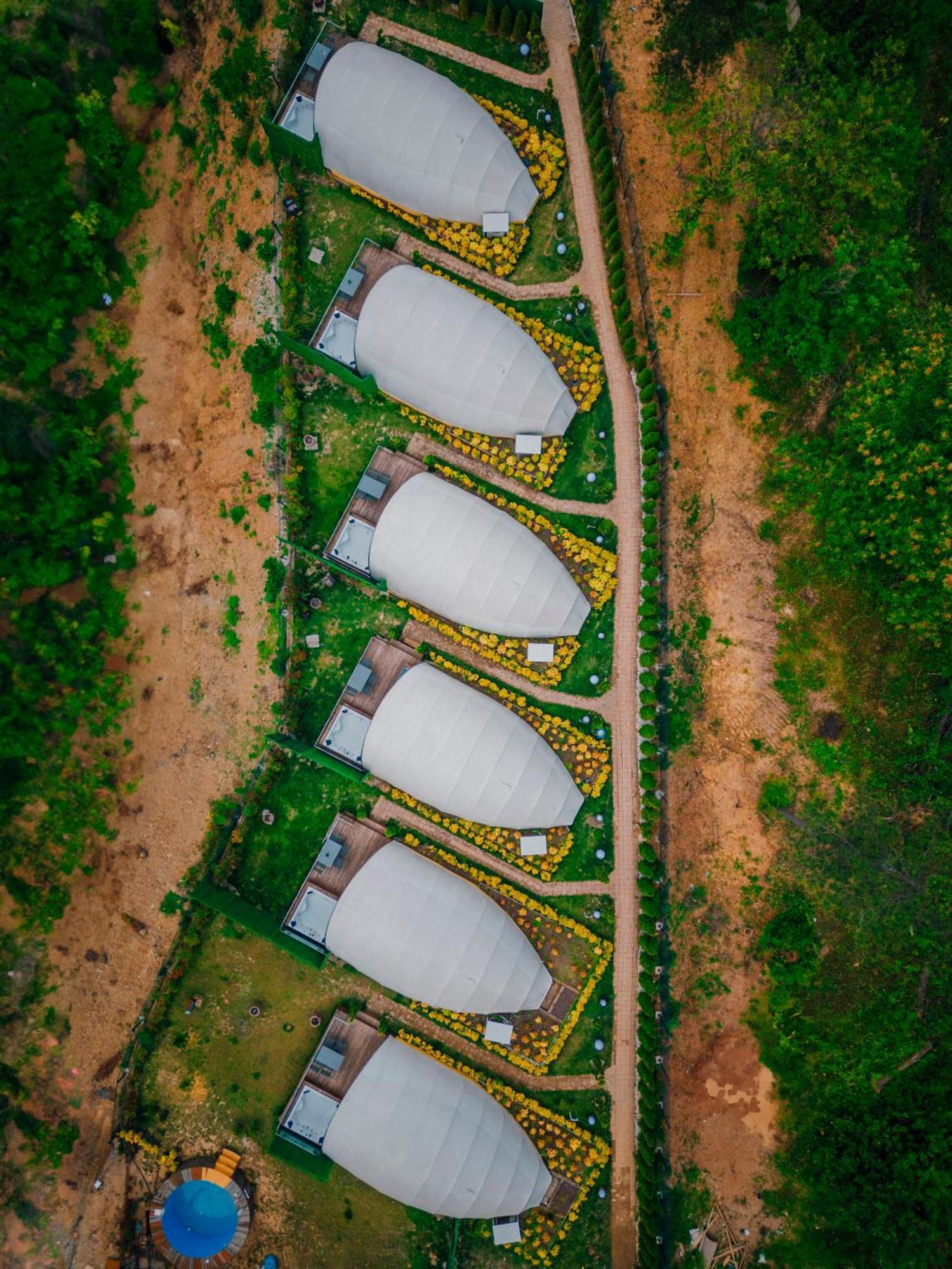 לינה וארוחת בוקר Snail House ספנג'ה מראה חיצוני תמונה